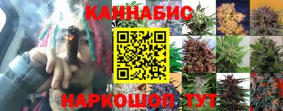 индика Наро-Фоминск