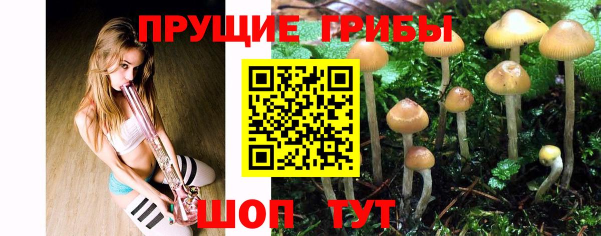 Псилоцибиновые грибы мухоморы  Галлюциногенные грибы Psilocybine cubensis  Вход с VPN  Удомля 